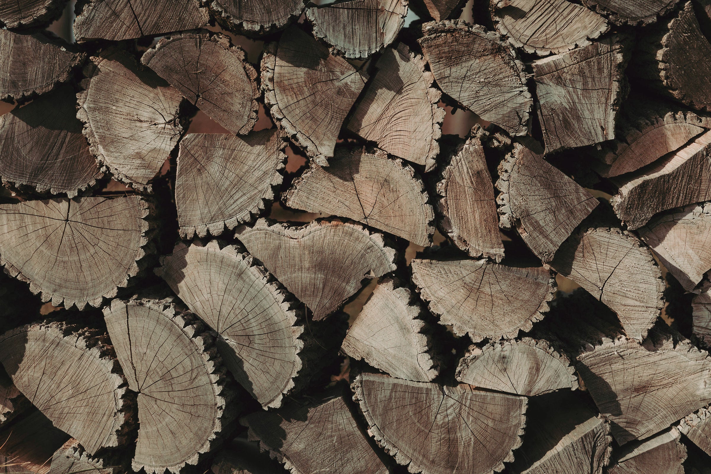 Stacked firewood arranged in a pattern in the Troyan region.